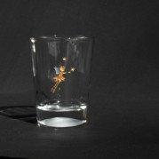 Fee 3 Glasgravur Fee mit Stern vergoldet