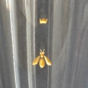 BIENE von oben gold/gold. Glasgravur farbvergoldet auf angenehmen kleinen Glasbecher