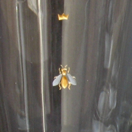 Biene gold mit weissen Flügeln. Detail. Glasgravur auf hübschem kleinen Becher zum täglichen Gebrauch